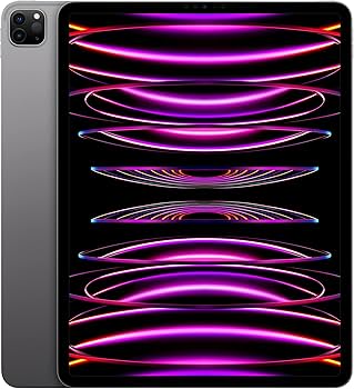 激安売り切れたらすみませんApple iPad 12.9インチ 本体　256GB Apple iPad Pro 12.9インチ 第6世代 Wi-Fi 256GB 2022年秋モデル